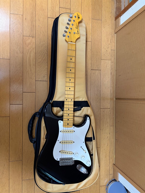 Seymour Duncan DS-100M BLKの画像